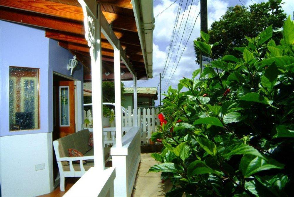 Tropical Breeze Vacation Home And Apartments Gros Islet Exteriér fotografie